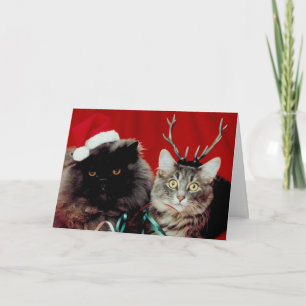 Meowy Weihnachtskarte Feiertagskarte