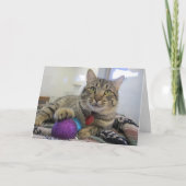 Meowy Weihnachtskatze Feiertagskarte (Vorderseite)