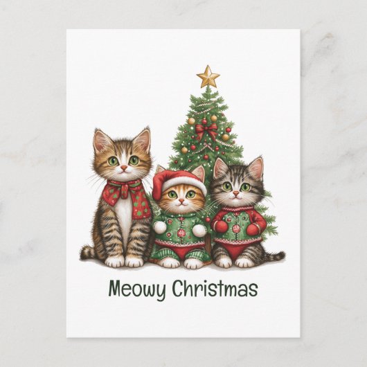Meowy Weihnachtskatzen Postkarte (Vorderseite)