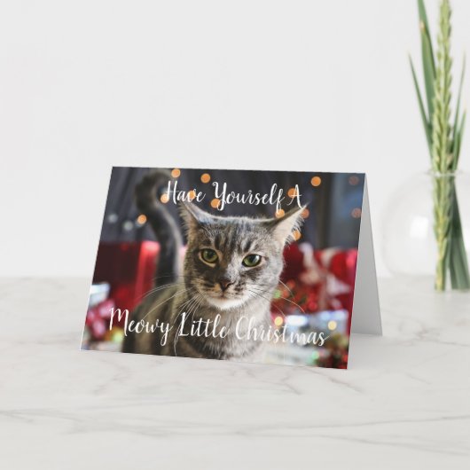 Meowy wenig Weihnachtsgruß-Karte Feiertagskarte (Vorderseite)