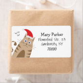 Meowy Xmas lustige Katze trägt Weihnachtsmannmütze (Insitu)