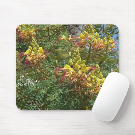 Merak Mousepad (Mit Mouse)