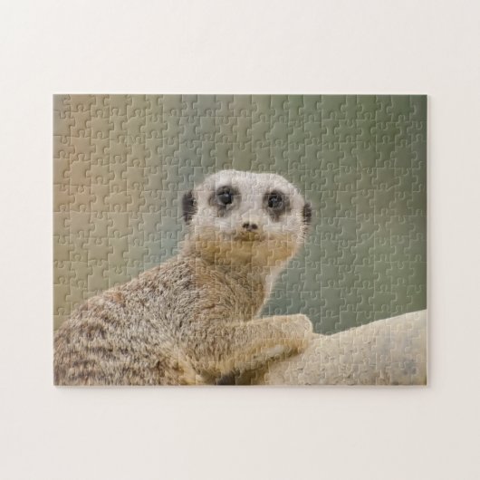 Mercats Afrika Puzzle (Horizontal)