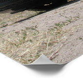 Mercedes-Benz SL500 Roadster 1998 Poster (Ecke)