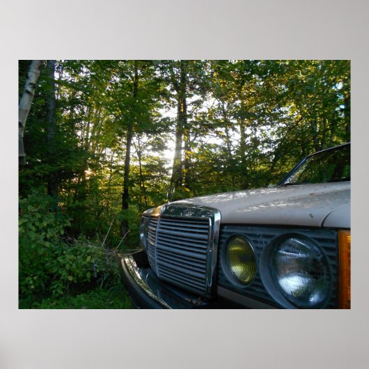 Mercedes W123 Poster (Vorne)