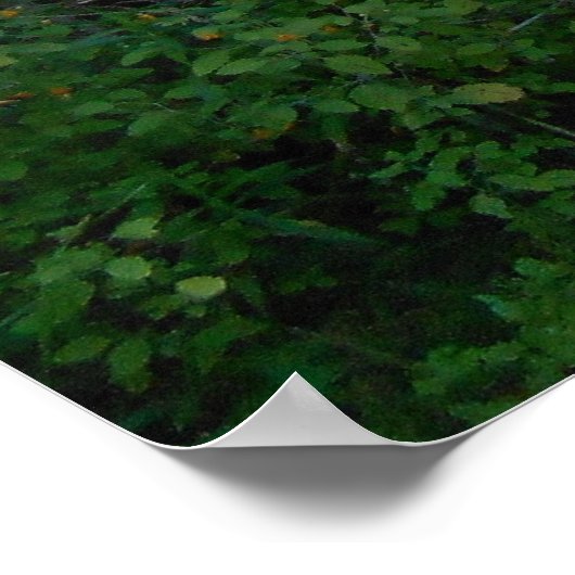 Mercedes W123 Poster (Ecke)