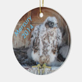 Mercury-Verzierung 2014 Keramik Ornament (Links)