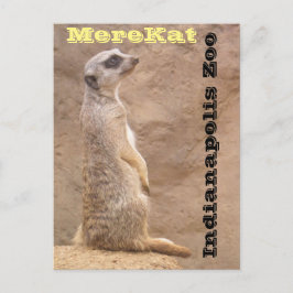 Merekat Indianapolis Zoo Postkarte