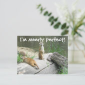 Merely Perfect Meerkat Postkarte (Stehend Vorderseite)