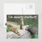 Merely Perfect Meerkat Postkarte (Vorne/Hinten)