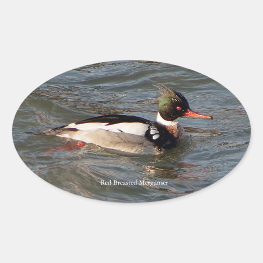 Merganser Aufkleber (Vorderseite)