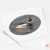 Merganser Aufkleber (Umschlag)