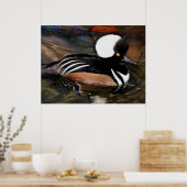 Merganser Bird Print Poster (Küche)