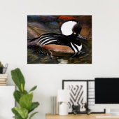 Merganser Bird Print Poster (Heimbüro)
