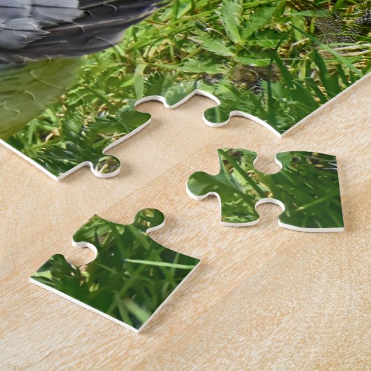 Merganser Duck Puzzle (Seite)