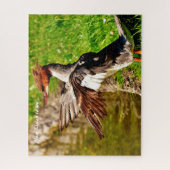 Merganser Duck Puzzle (Vertikal)