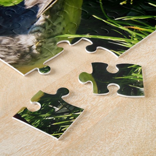 Merganser Duck Puzzle (Seite)
