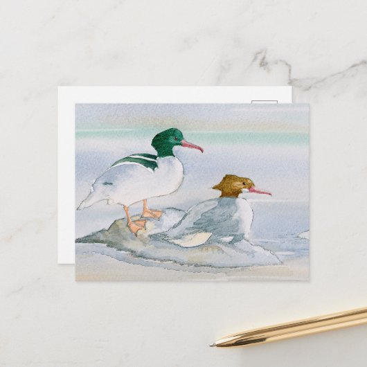 Merganser Goosander Bird Duck Postcard Postkarte (Vorderseite/Rückseite Beispiel)