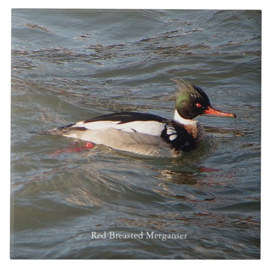 Merganser-Kachel Fliese (Vorderseite)