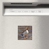 Merganser Magnet (In Situ (Geschirrspüler))