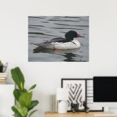 Merganser-Männchen-Poster Poster (Heimbüro)
