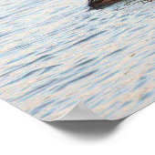 Merganser-Poster Poster (Ecke)