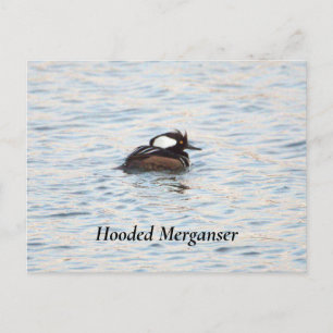 Merganser Postkarte