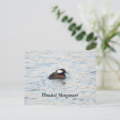 Merganser Postkarte (Stehend Vorderseite)