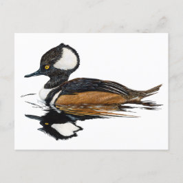 Merganser Postkarte