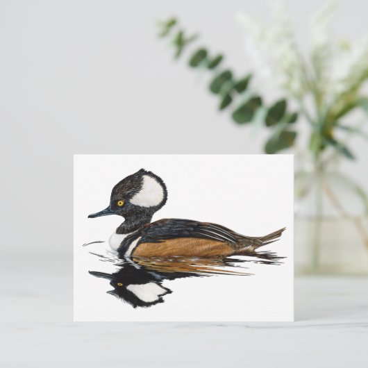 Merganser Postkarte (Stehend Vorderseite)