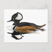 Merganser Postkarte (Vorderseite)