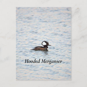 Merganser Postkarte