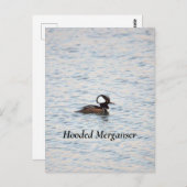 Merganser Postkarte (Vorne/Hinten)