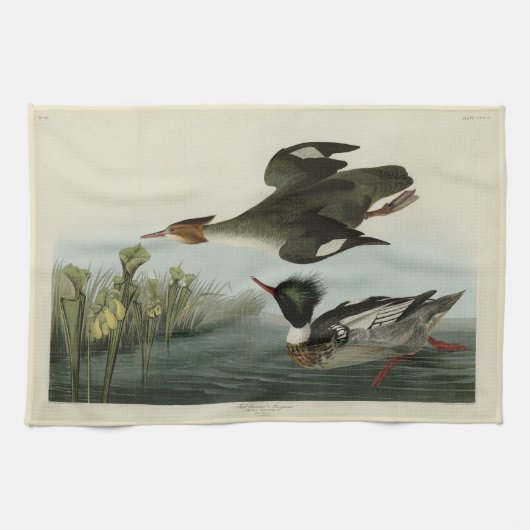 Merganser, Rotbrüste, Audubons Vögel von Amerika Geschirrtuch (Horizontal)
