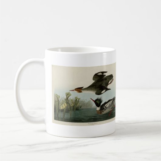 Merganser, Rotbrüste, Audubons Vögel von Amerika Kaffeetasse (Links)