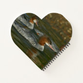 Merganser Spiral Notebook Notizblock (Rückseite)