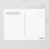 Merganser und Küken, Postkarte Nord-Michigan (Rückseite)