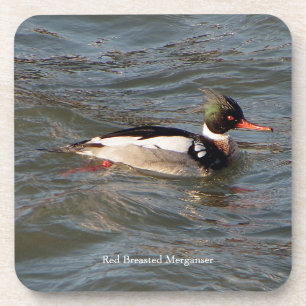 Merganser Untersetzer