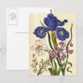 Merian Floral Kunst, Dichtung und Musik Postkarte (Vorne/Hinten)