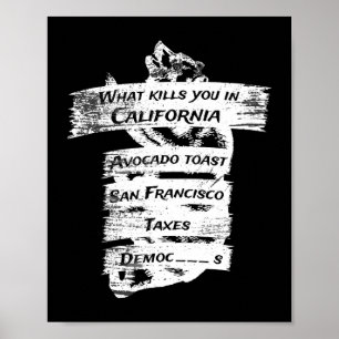 Merica Spaß America USA Funny California Poster