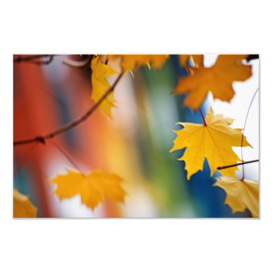 Meridian Fall. Fotodruck (Vorne)