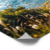 Meringue-Hawkliffs Poster (Ecke)