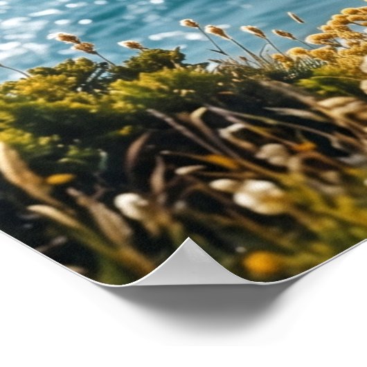 Meringue-Hawkliffs Poster (Ecke)