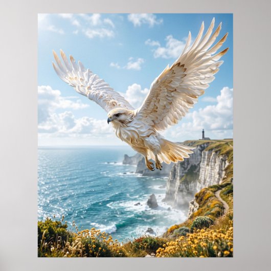 Meringue-Hawkliffs Poster (Vorne)