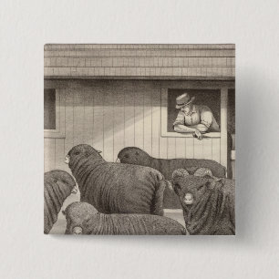 Merino-Schafe Button