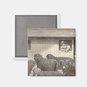 Merino-Schafe Magnet (Vorderseite/Rückseite)