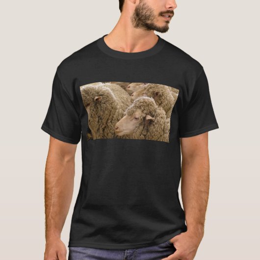 Merinoschafe T-Shirt (Vorderseite)