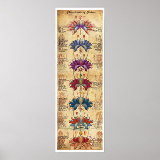 Merkmale von Chakras - Kontrastiver Stil Poster