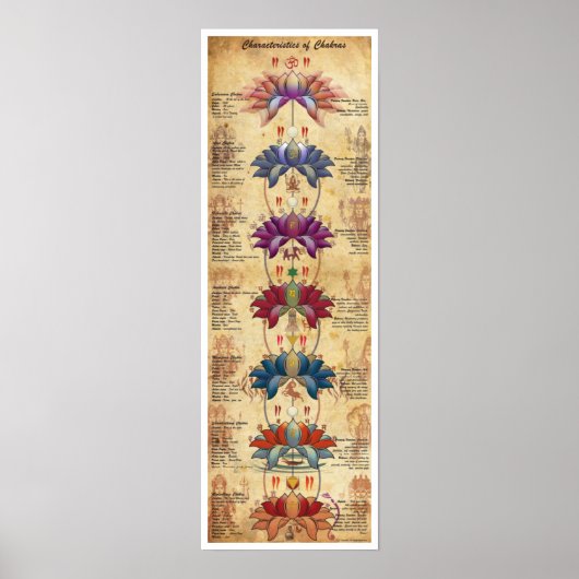 Merkmale von Chakras - Kontrastiver Stil Poster (Vorne)