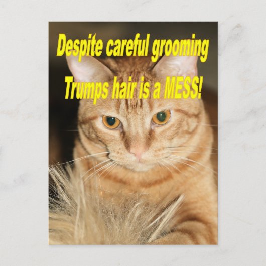Merkwürdig alter Trump Postkarte (Vorderseite)